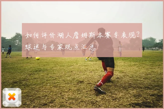 如何评价湖人詹姆斯本赛季表现？球迷与专家观点汇总