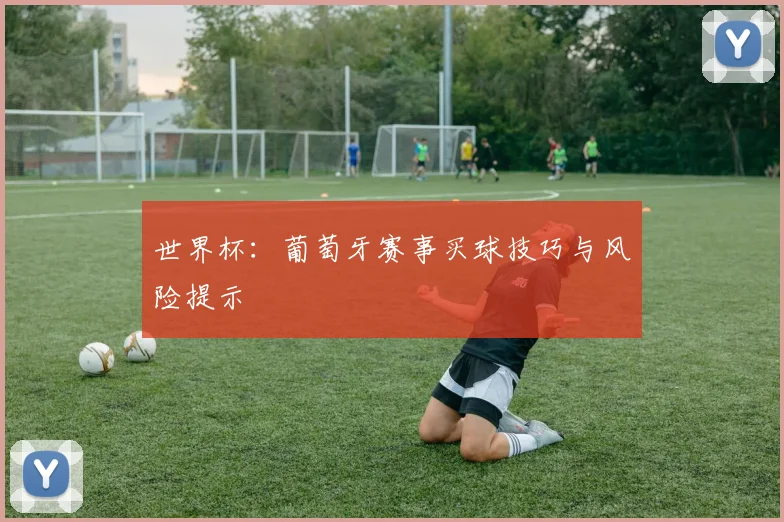 世界杯：葡萄牙赛事买球技巧与风险提示