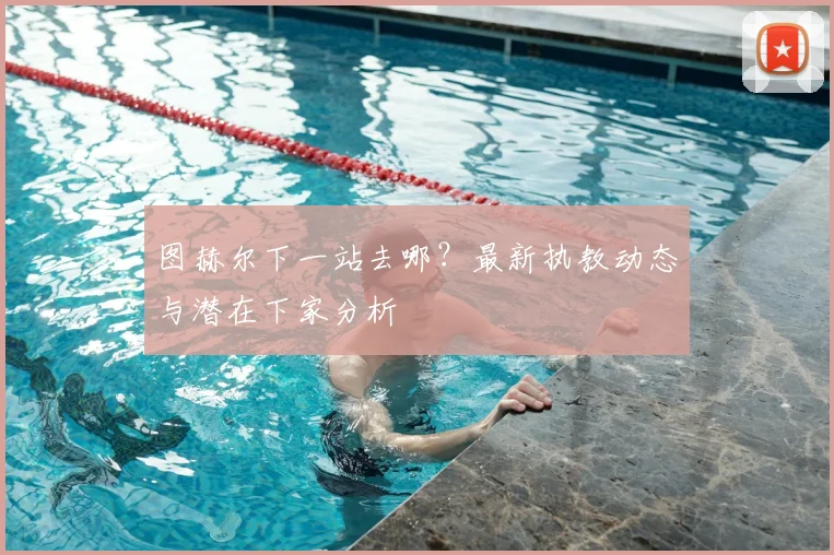 图赫尔下一站去哪？最新执教动态与潜在下家分析