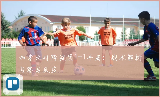 加拿大对阵波黑1-1平局：战术解析与赛后反应